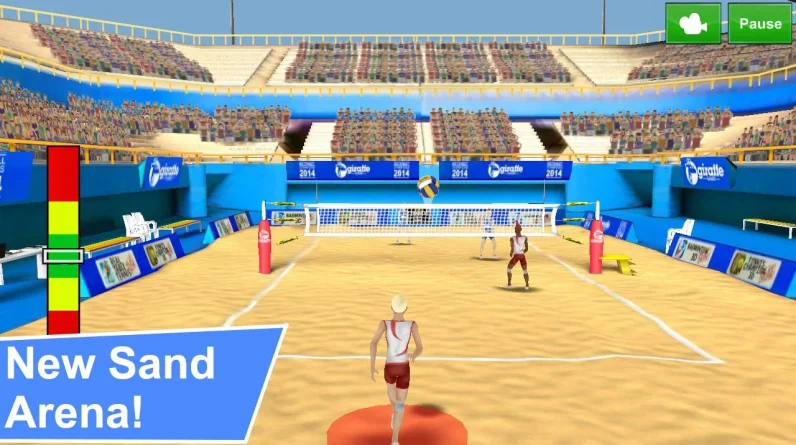 Ragdoll Volleyball